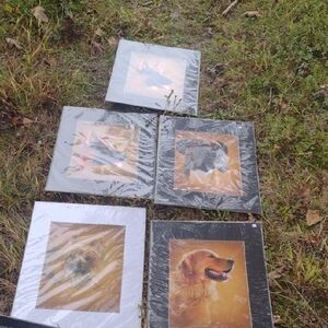 5 Large Dog Art Prints in Matte Frame NWT